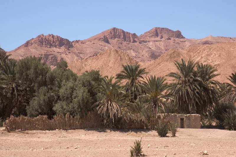 Tunisia 2005 - Chebika