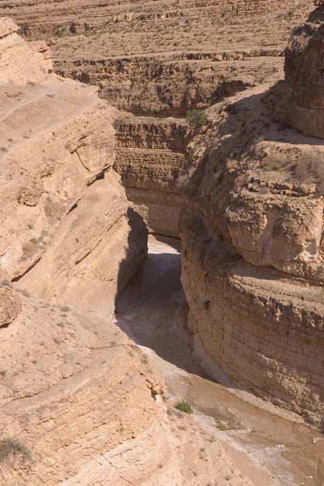 Tunisia 2005 - Mides