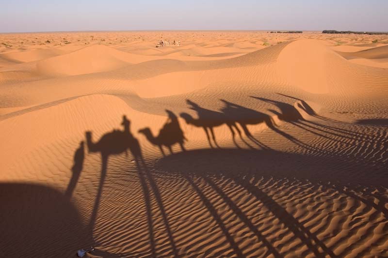 Tunisia 2005 - Sahara Desert, camel ride