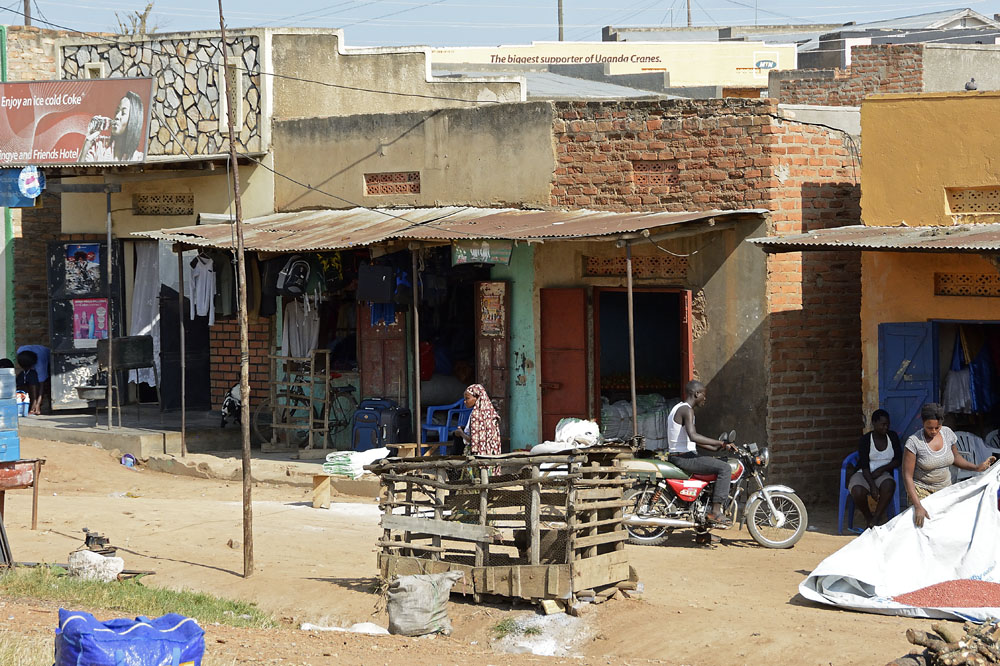 Typical village roadside